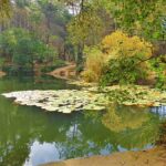 Caminhada Lagos e Medronhos na Serra de Sintra