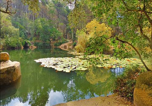 Caminhada Lagos e Medronhos na Serra de Sintra